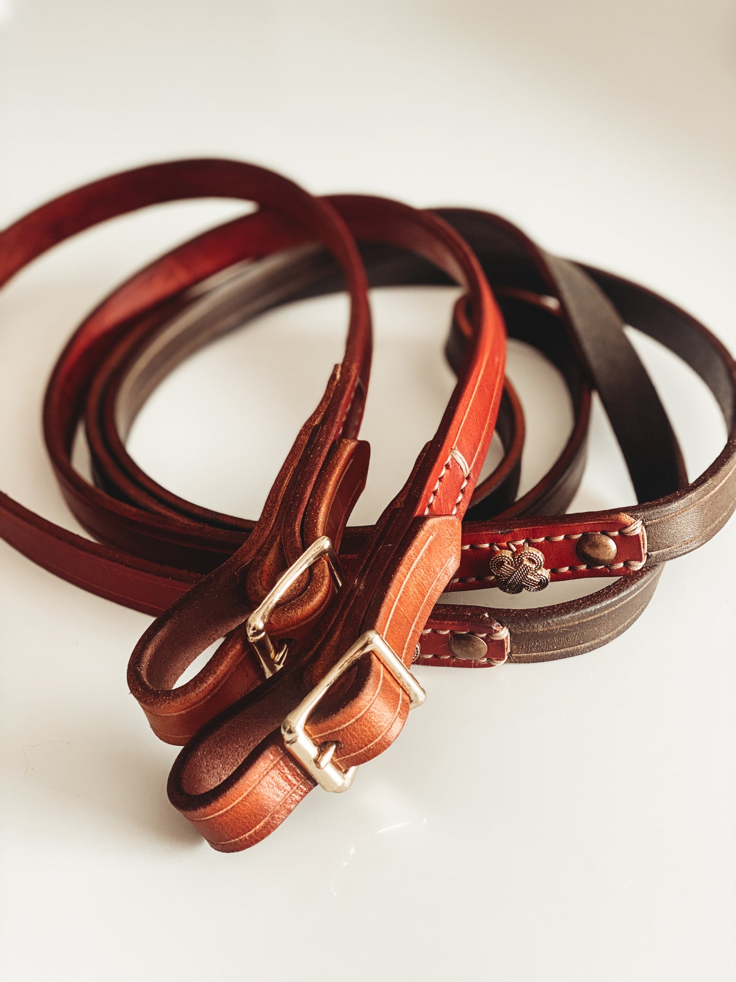 3 Toned Leather Rein