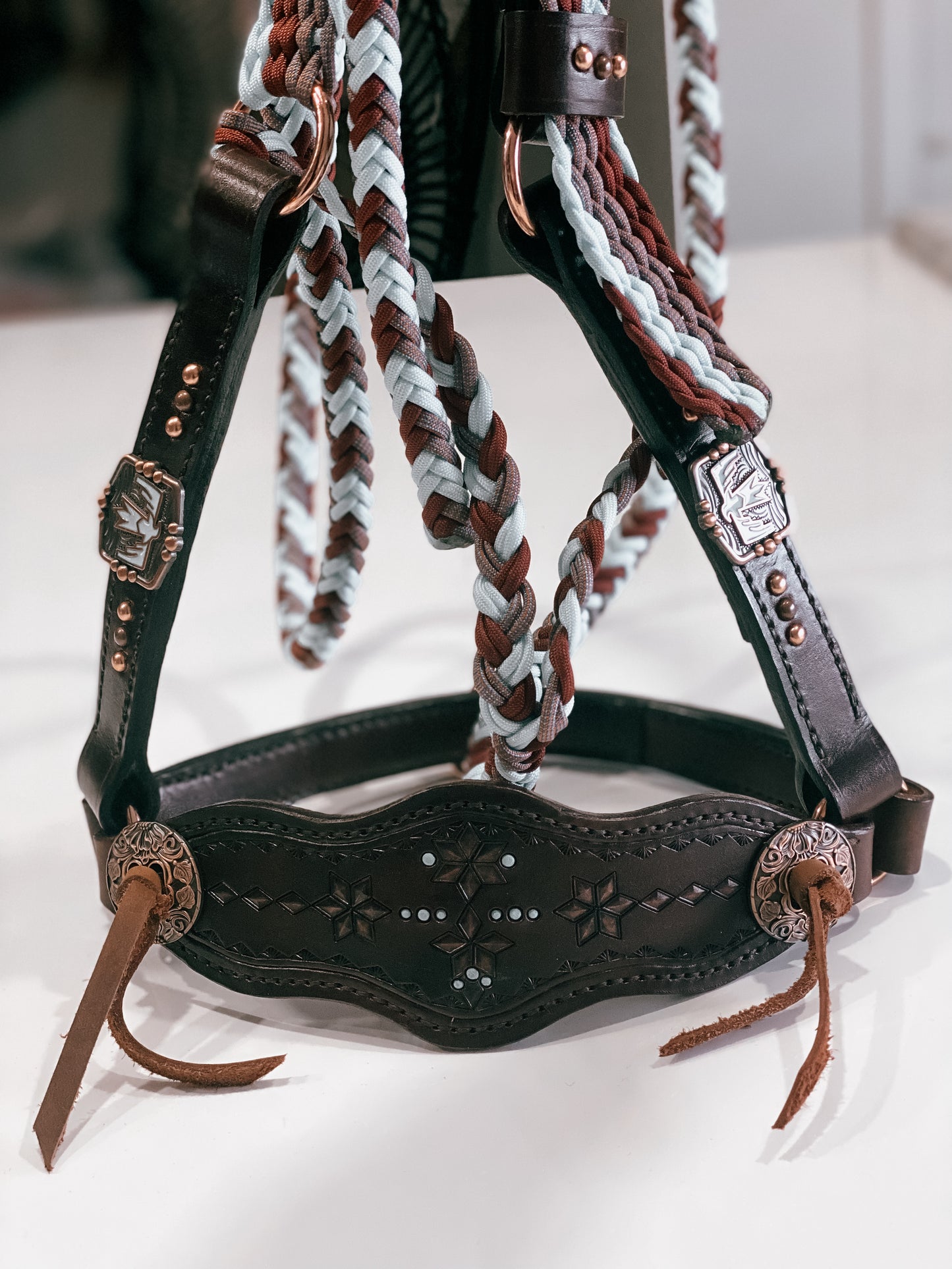 Halter & Lead