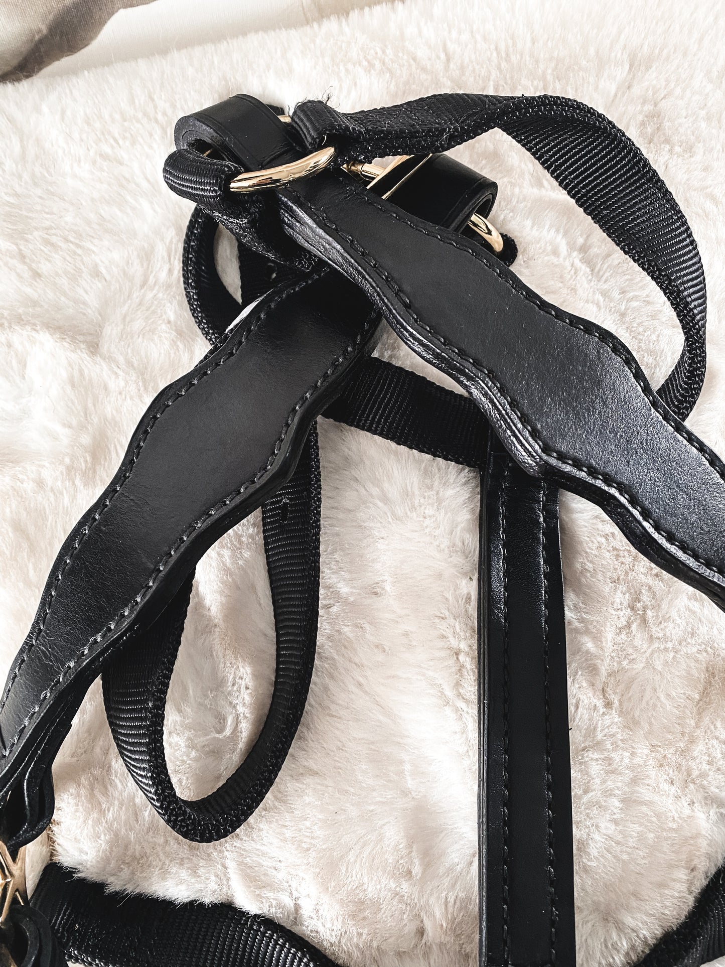 Midnight Black Halter