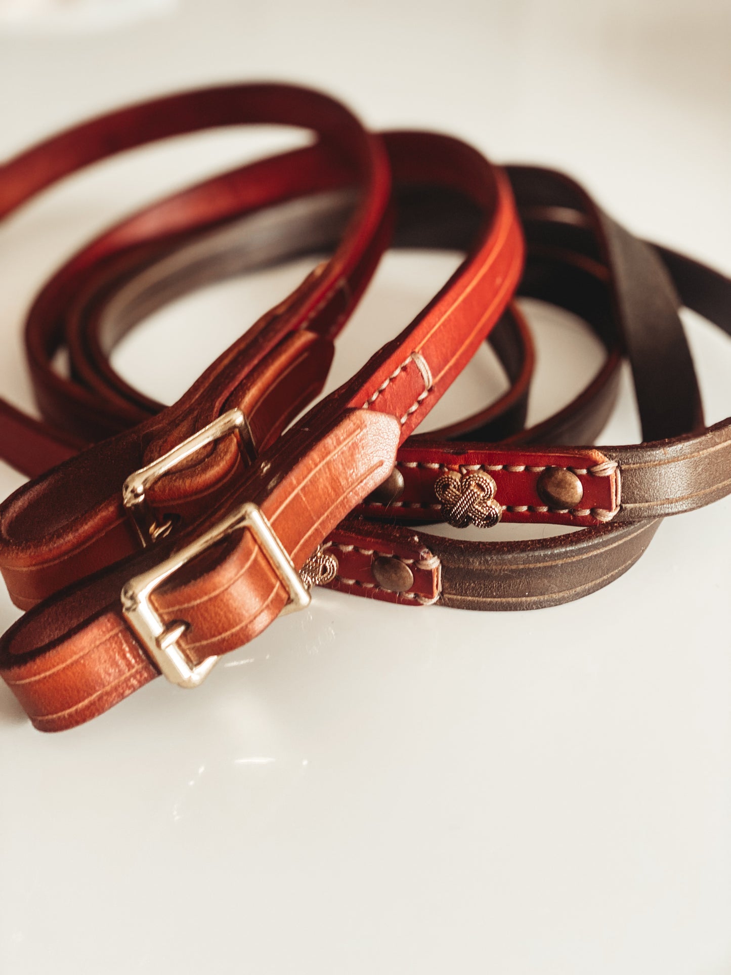 3 Toned Leather Rein